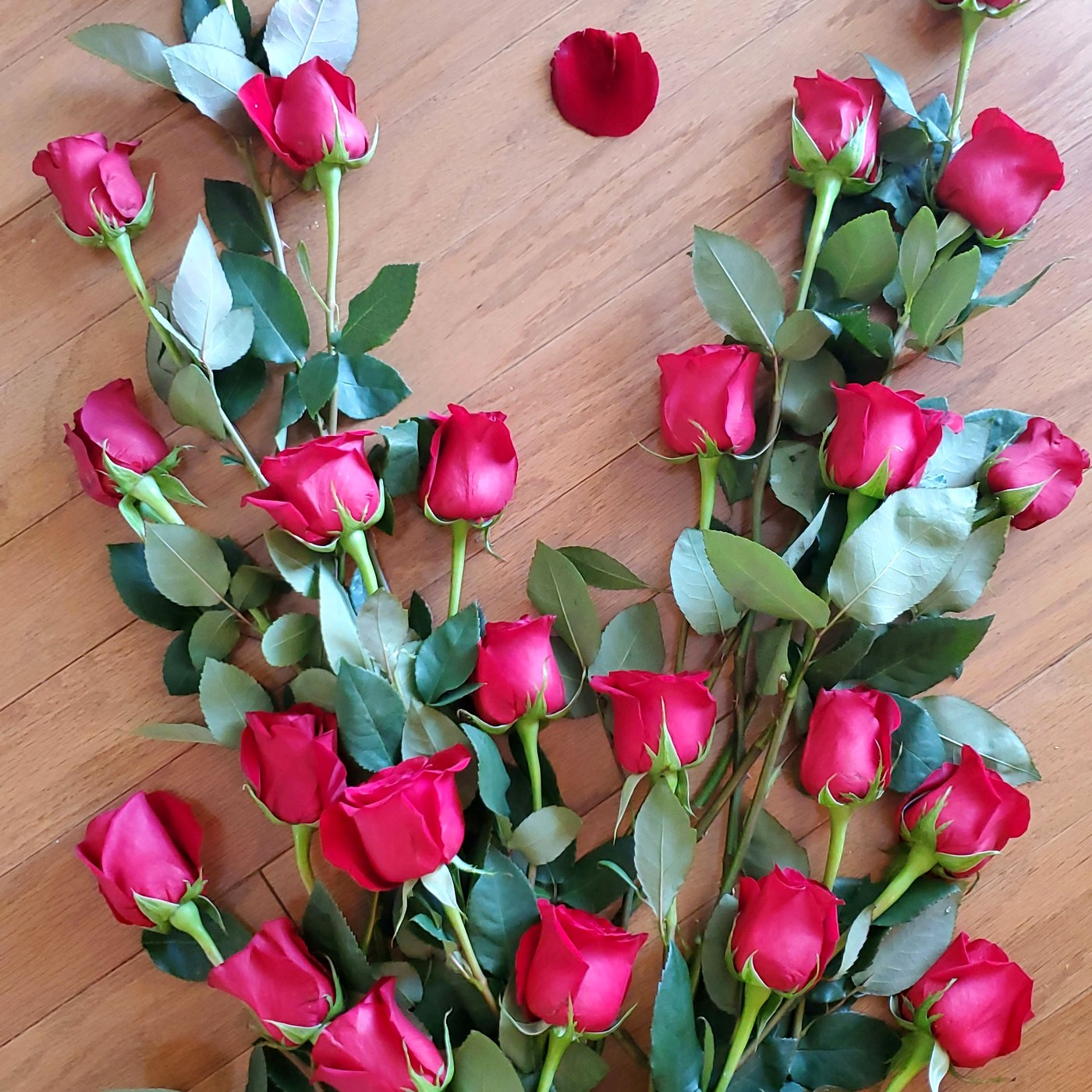 Buchet Clasic 5 trandafiri