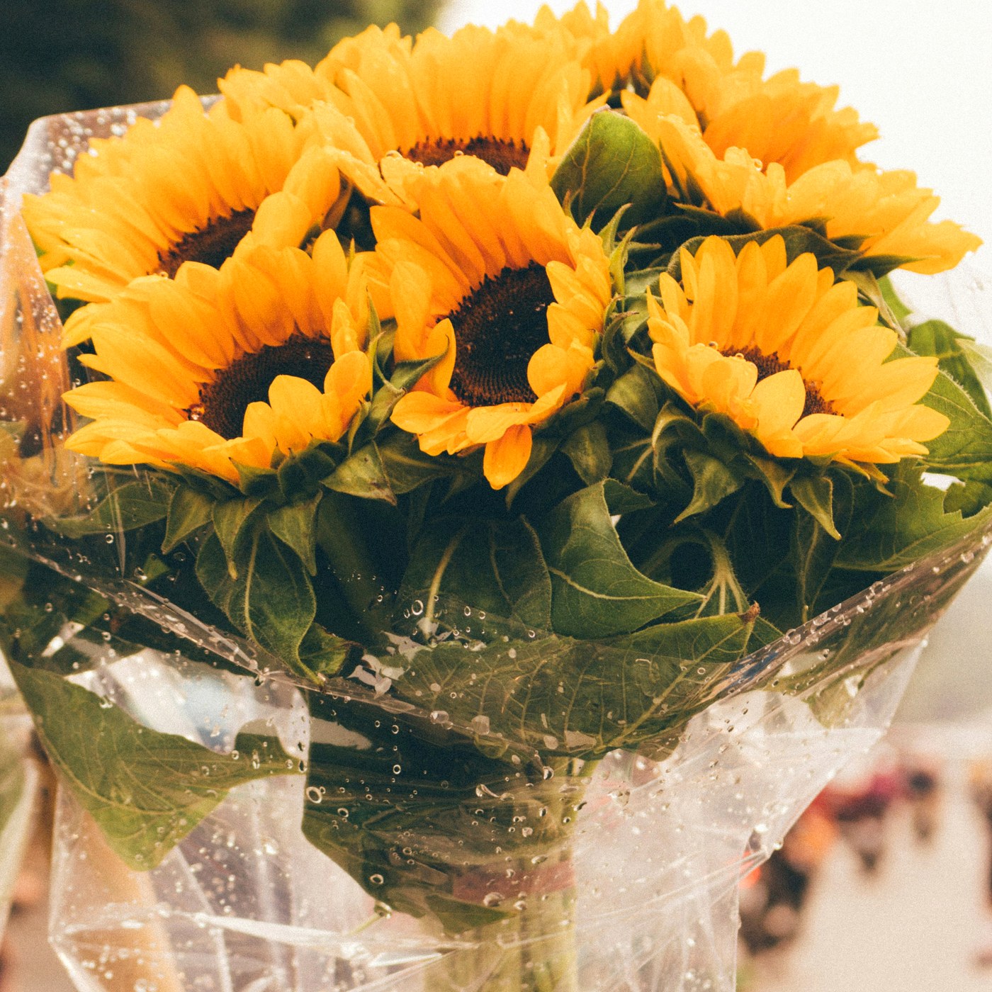 Buchet 21 Solar - Wild Fox Flowers Oradea