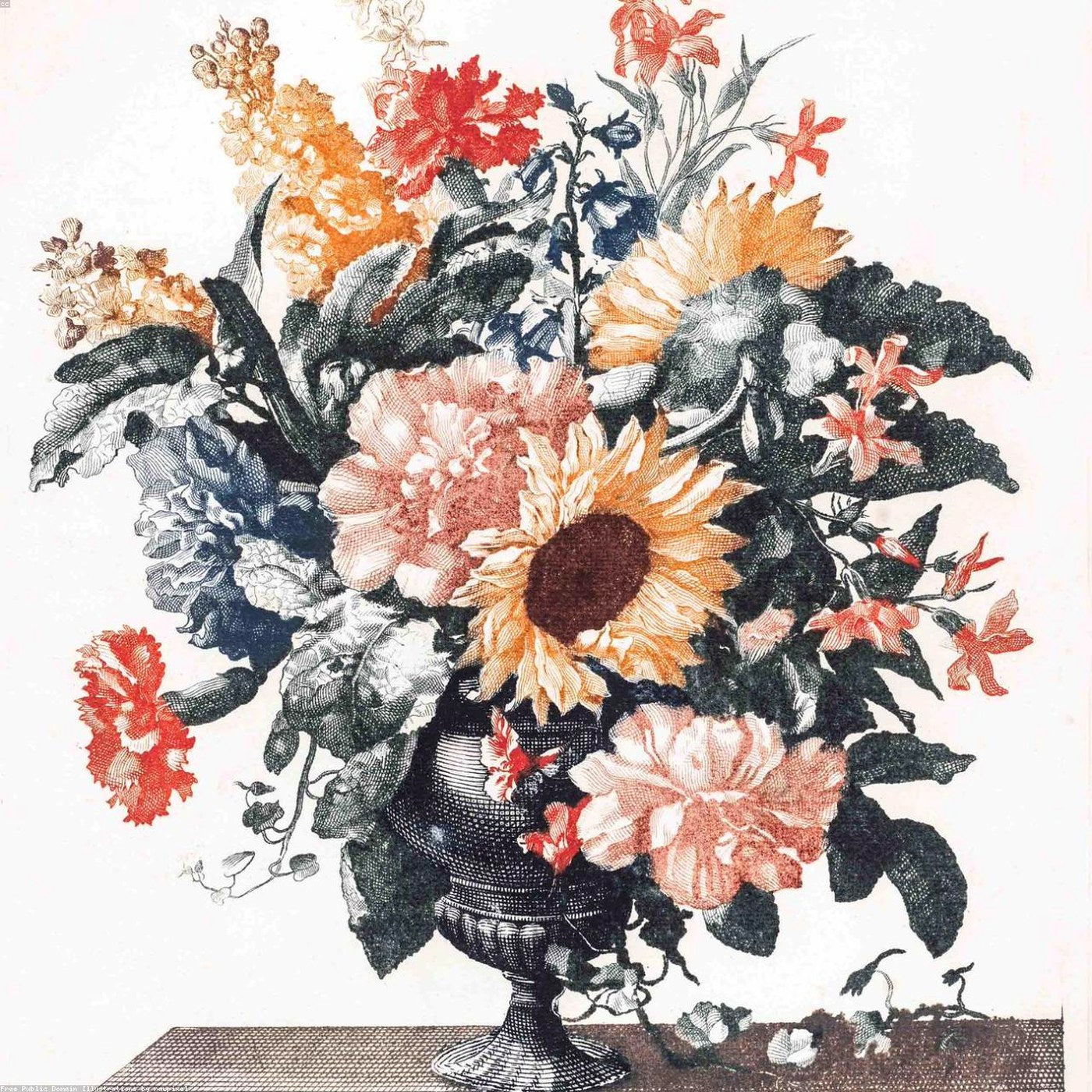 Buchet Apus de soare - Wild Fox Flowers Oradea