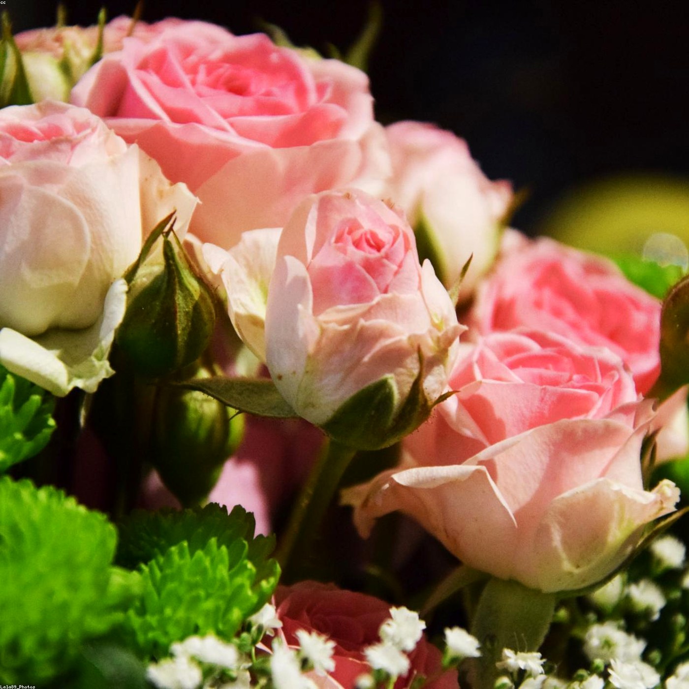 Buchet Clasy - Wild Fox Flowers Oradea