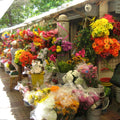 Buchet mixt 17 fire colorat - Wild Fox Flowers Oradea