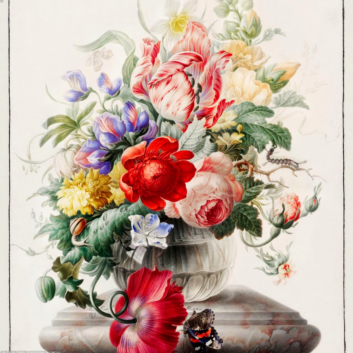 Buchet Simbol de absolvire - Wild Fox Flowers Oradea