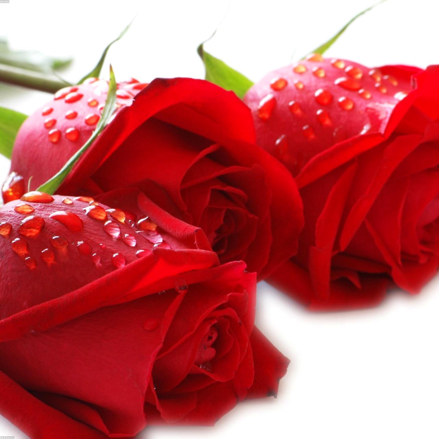 Buchet surpriza dulce - Wild Fox Flowers Oradea