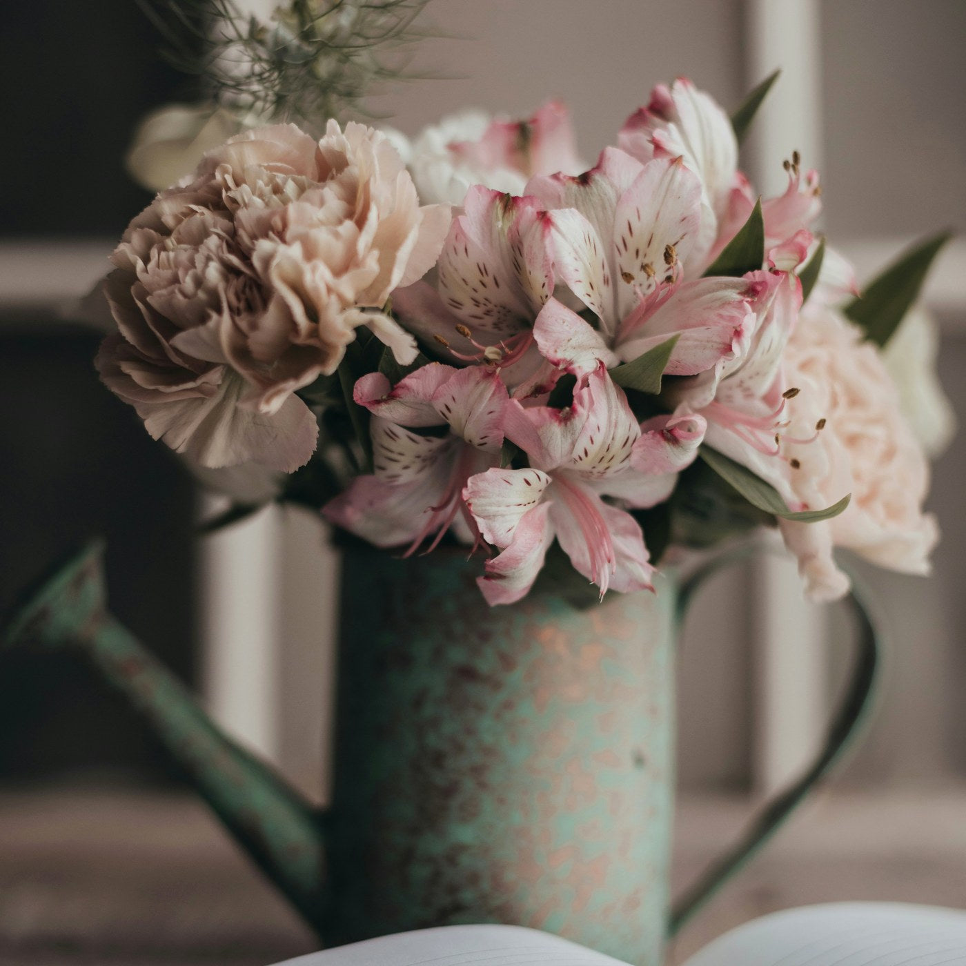 Carte + flori - Wild Fox Flowers Oradea