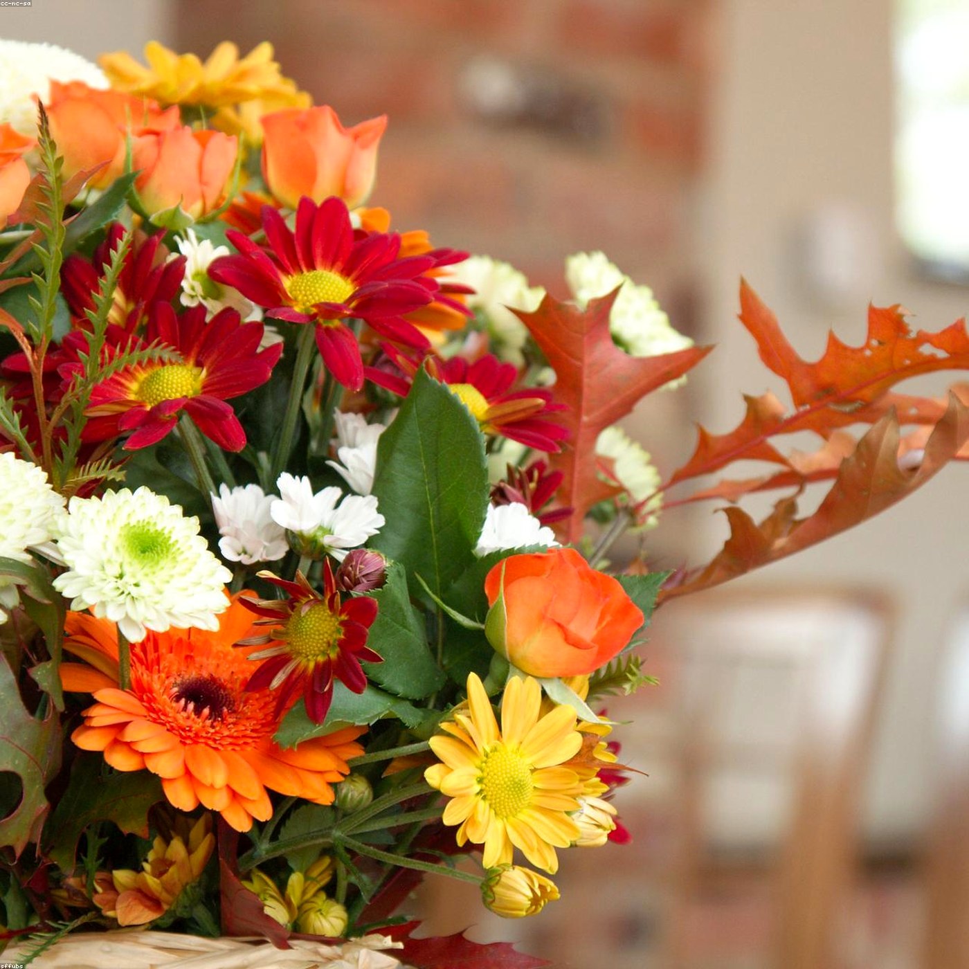 Decor de toamna - Wild Fox Flowers Oradea